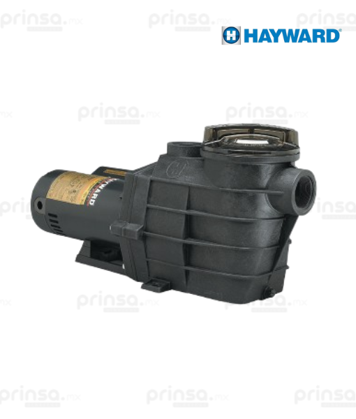 Motobomba Super II 2 Hp 230V (9804719915315)