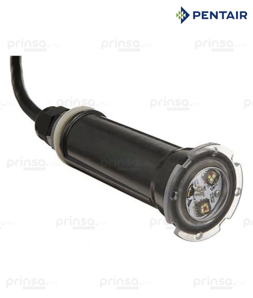 GLOBRITE BLANCO 12 VOLTS 50' (603975057444)