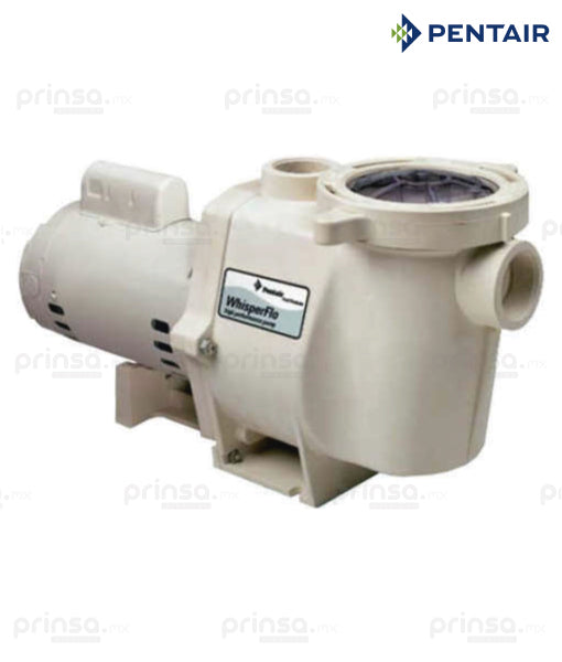 Motobomba Whisperflo de 1hp (603980791844)