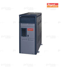 Calentador Raypak P-R156 E Gas Propano (603958411300)