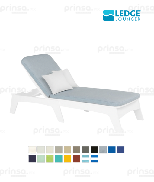 Camastro Mainstay (8197701763379)