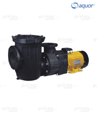 Motobomba Aquor Comercial de 10hp (603983249444)