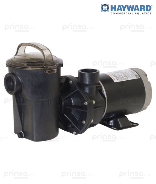 Motobomba Power Flo LX de 1.5hp (603981774884)